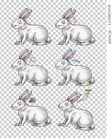 白いウサギセット 123965459