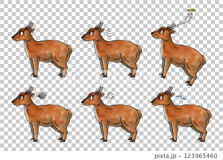 虛空套裝 虛空套裝 123965460