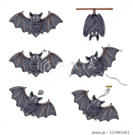 コウモリセット 123965461