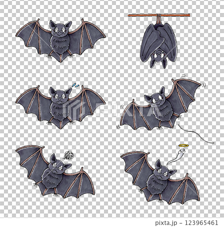Bat Set 123965461