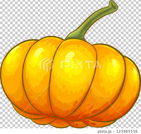 Pumpkin Fruit Colored Detailed Illustration. Organic natural nutritional healthy food ingredient, vegetarian diet product. 123965538