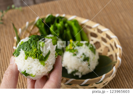 なばなのおにぎりを手に持つ　ナバナのおむすびを手で持つ 123965603