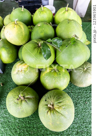Popular organically grown pomelo fruits for sale being displayed in retail stall in Tambun, Perak, Malaysia 123965901
