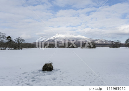 凍結した大沼と北海道駒ヶ岳 凍結した大沼と北海道駒ヶ岳 123965952