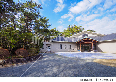 葉山しおさい公園の早春 葉山しおさい公園の早春 123966034