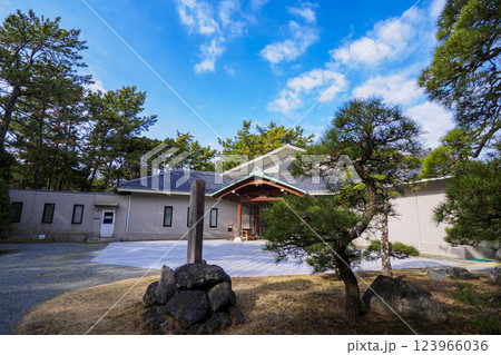 葉山しおさい公園の早春 葉山しおさい公園の早春 123966036