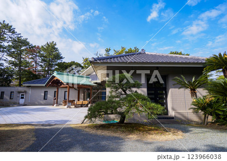 葉山しおさい公園の早春 葉山しおさい公園の早春 123966038