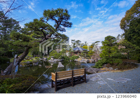 葉山しおさい公園の早春 123966040