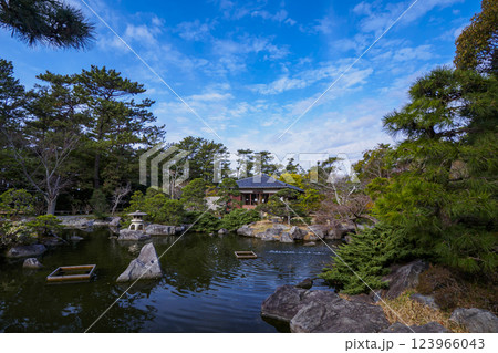 葉山しおさい公園の早春 葉山しおさい公園の早春 123966043