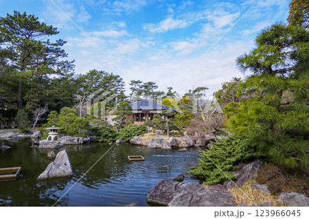 葉山しおさい公園の早春 123966045