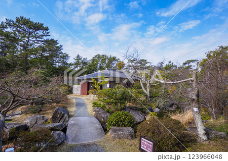 葉山しおさい公園の早春 123966048