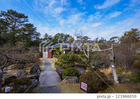 葉山しおさい公園の早春 123966050