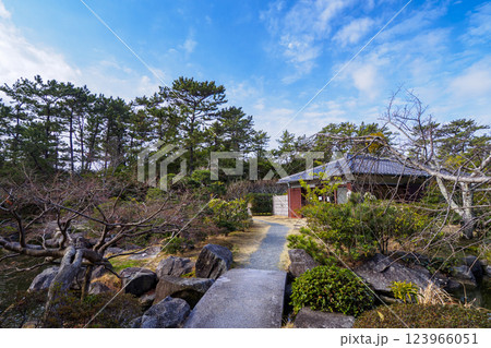 葉山しおさい公園の早春 123966051