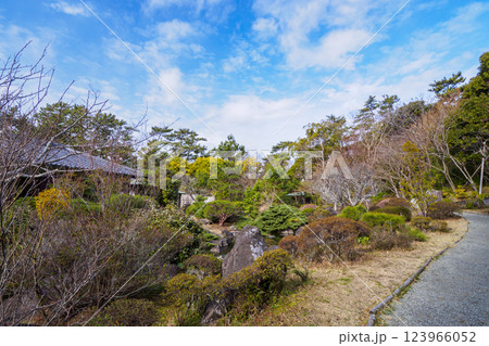 葉山しおさい公園の早春 123966052