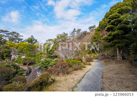 葉山しおさい公園の早春 123966053