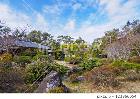 葉山しおさい公園の早春 123966054