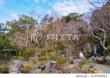 葉山しおさい公園の早春 123966063