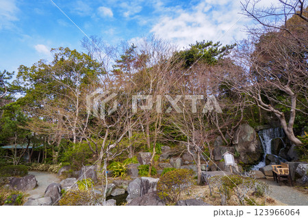 葉山しおさい公園の早春 123966064
