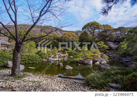 葉山しおさい公園の早春 123966075
