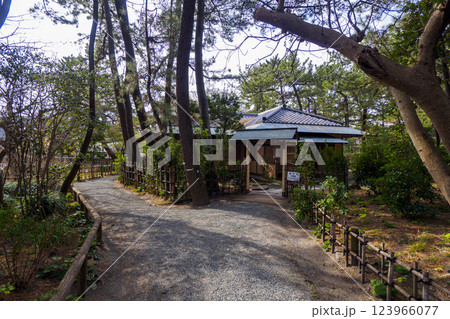 葉山しおさい公園の早春 123966077