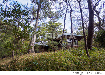 葉山しおさい公園の早春 123966082