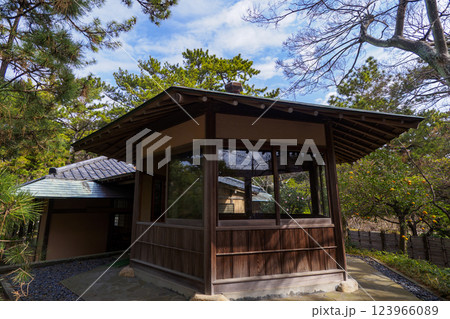 葉山しおさい公園の早春 123966089