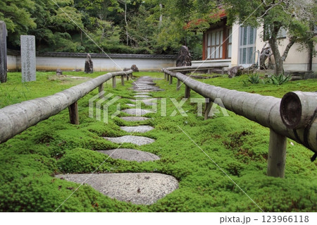 石庭:高野山真言宗・三輪山真長寺・68(岐阜県岐阜市三輪) 石庭:高野山真言宗・三輪山真長寺・68(岐阜県岐阜市三輪) 123966118