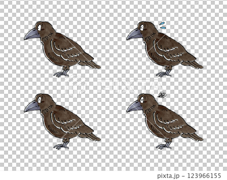 Crow set 123966155