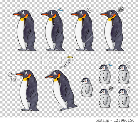 コウテイペンギンセット 123966156
