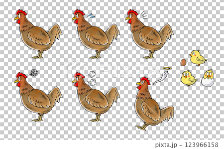 茶色いニワトリセット 123966158