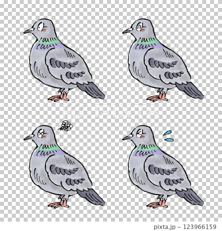 Pigeon set 123966159