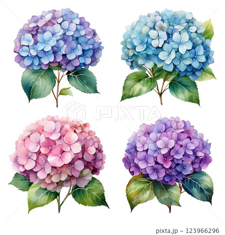 色とりどりのあじさいコレクション – 青、紫、ピンクの花 123966296