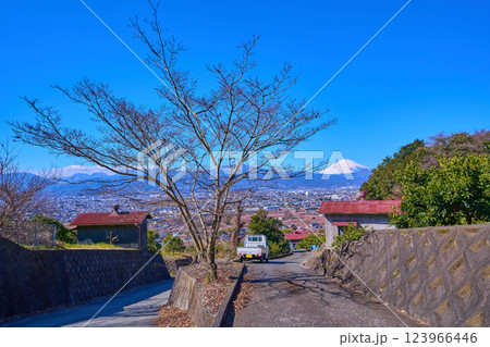 神奈川県小田原市曽我別所の高台から市街地眺望(小田原市,富士山,矢倉岳など) 123966446
