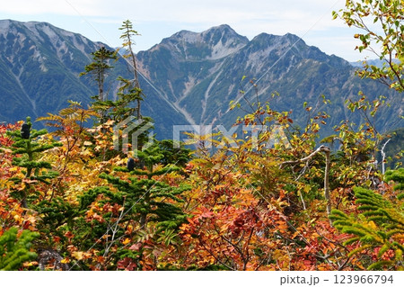 鹿島槍ヶ岳登山から見える風景 123966794