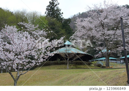 春の谷汲山華厳寺散策・7 123966849