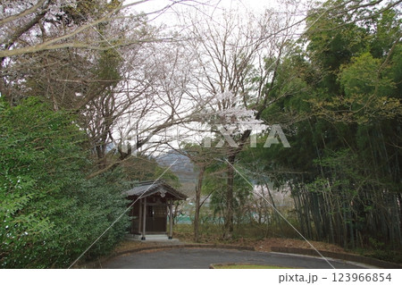 春の谷汲山華厳寺散策・2 春の谷汲山華厳寺散策・2 123966854