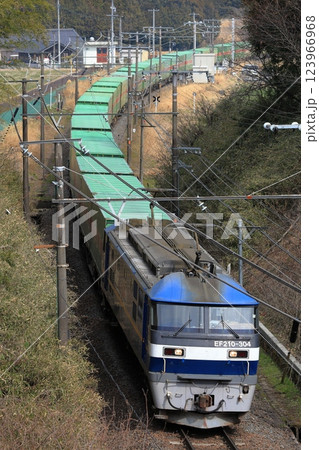東海道線（新垂井線）を走るEF210貨物列車 123966968
