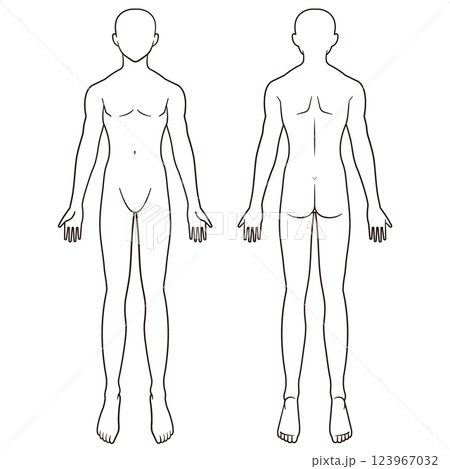 男性の人体図 シェーマ 前面背面 男性の人体図 シェーマ 前面背面 123967032