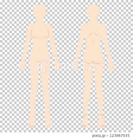 女性身體圖、示意圖、正面和背面 123967035