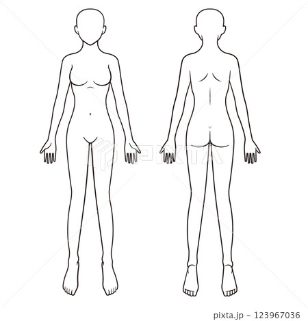 女性の人体図 シェーマ 前面背面 女性の人体図 シェーマ 前面背面 123967036