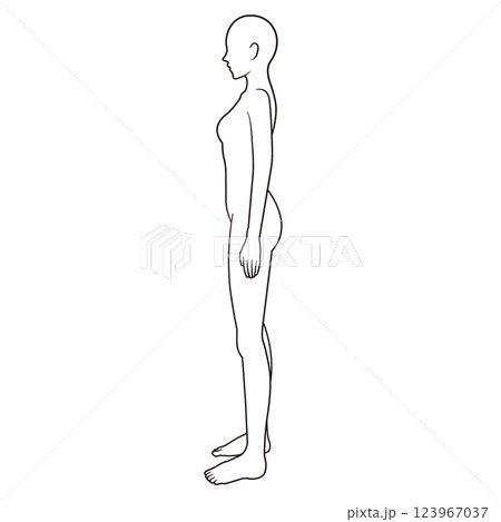 女性の人体図 シェーマ 横向き 女性の人体図 シェーマ 横向き 123967037