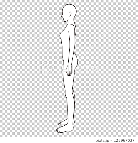 女性の人体図 シェーマ 横向き 女性の人体図 シェーマ 横向き 123967037