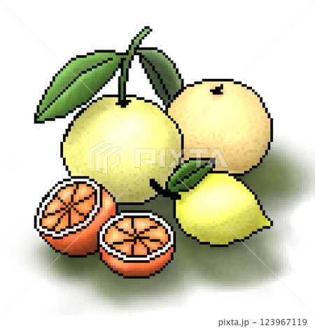 葉のついた柚子のイラスト 123967119