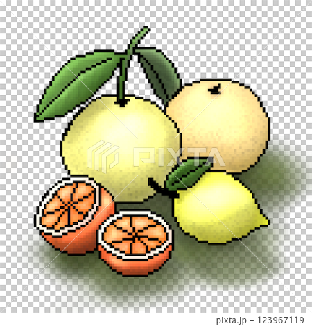 葉のついた柚子のイラスト 123967119