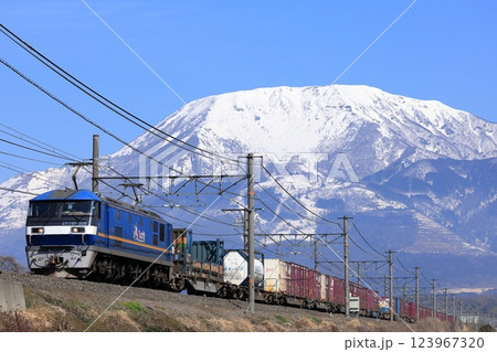 冠雪の伊吹山と東海道線を走るEF210貨物列車 123967320