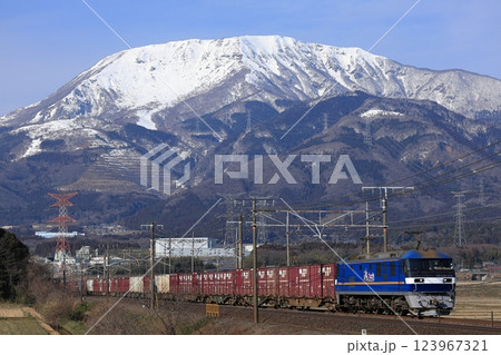 冠雪の伊吹山と東海道線を走るEF210貨物列車 123967321