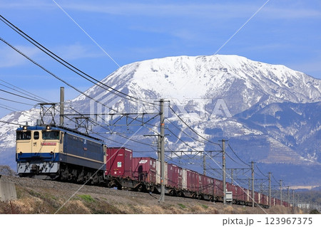 冠雪の伊吹山と東海道線を走るEF65貨物列車 123967375
