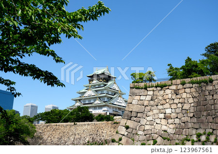 大阪府大阪市中央区_西の丸庭園からの大阪城1_2024年5月 123967561