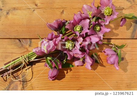 紫色のクリスマスローズの花束 紫色のクリスマスローズの花束 123967621