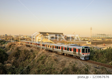 夕暮れ時の武豊線を走るJR東海315系区間快速 夕暮れ時の武豊線を走るJR東海315系区間快速 123967676